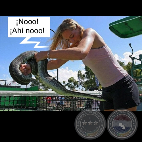 BOA SORTE - Obra de Chester Swann